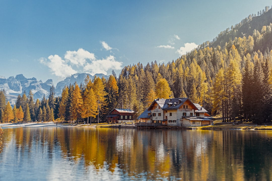 The Great Outdoors: Finding Solace and Adventure in Nature’s Embrace