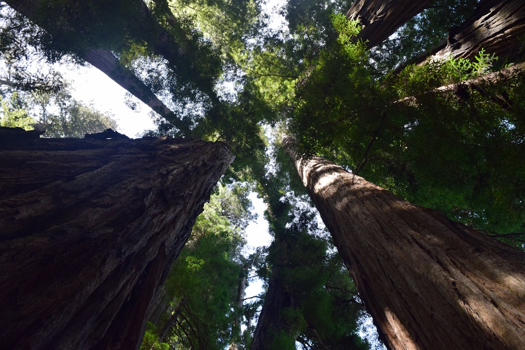 The Art of Slow Travel: Embracing Nature’s Pace